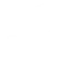 secure payment icon